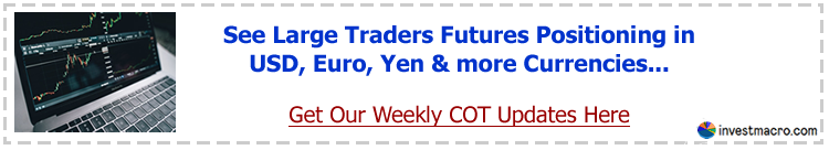 cot investmacro newsletter